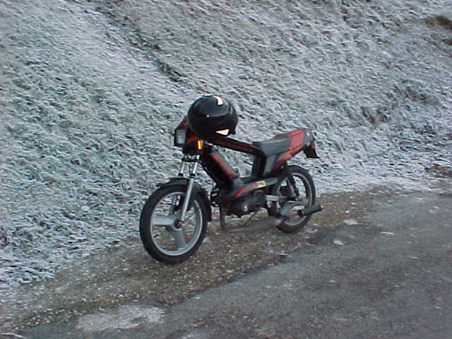 259 - ET EN PLUS, AU MILIEU DE LA NEIGE !.jpg